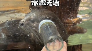 How to fool the little otter?