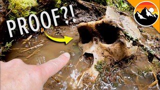 Bigfoot Skull Found in Canada?