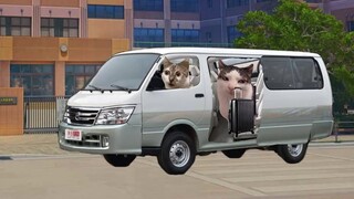 เมื่อฉันเจอแฟนเก่าขณะขับรถดีดี้