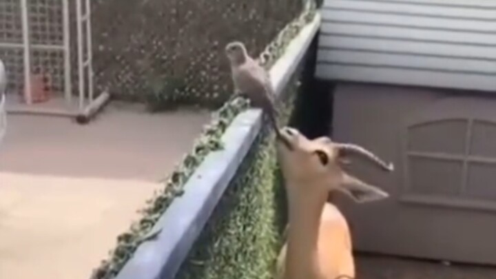 Bro, you smell so good!