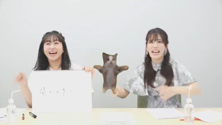 Coco dan Chiemi bahas kucing "Happy Happy"