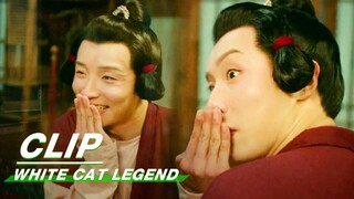 Wang Qi Dressed as a Woman | White Cat Legend EP23 | 大理寺少卿游 | iQIYI