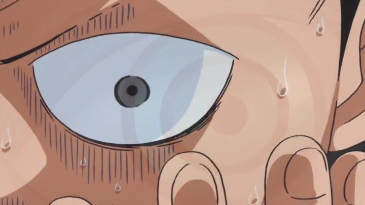 One Piece 1043: If this is the ending of Raftel, would you accept it?