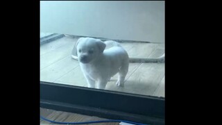 起猛了，看见宰信了