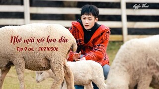 [Vietsub cut] Nhớ mãi xứ hoa đào (Niệm niệm đào hoa nguyên) 20210306