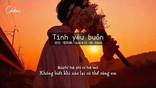 [Vietsub, Pinyin] Tình Yêu buồn - Quái A Di, Mr. Silent / 悲恋 - 怪阿姨