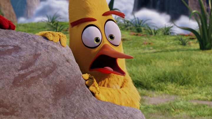 The Angry Birds Movie