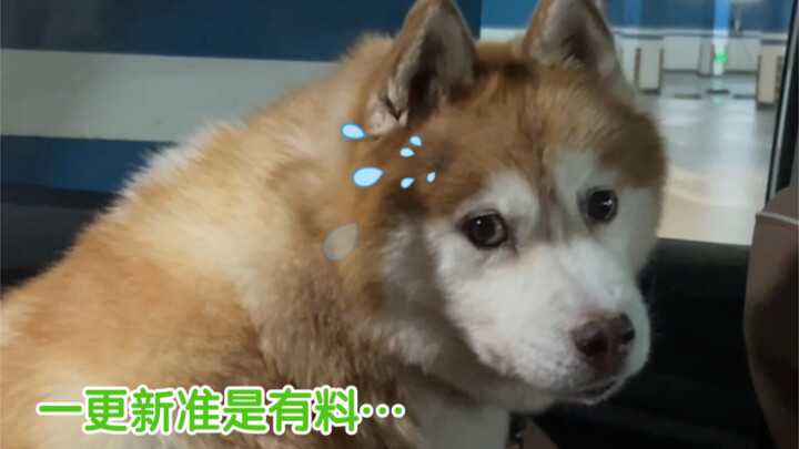 โมก้า: ก่อนอื่น ฉันไม่ได้ไปยุ่งกับพวกคุณสักคนเดียว...