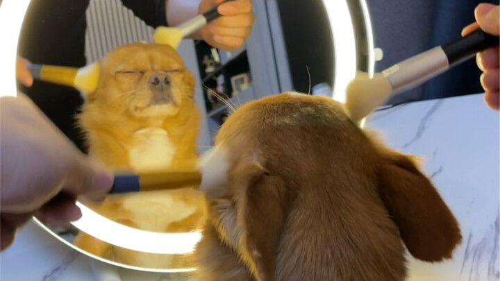 Beauty blogger Honey is live!