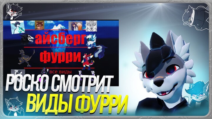 🐺 Роско смотрит ТРАФЭ - АЙСБЕРГ, ВСЕ ВИДЫ ФУРРИ
