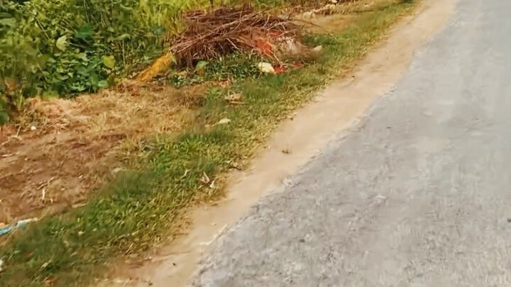 বিলিবিলি । ভাইরাল । ভিডিও