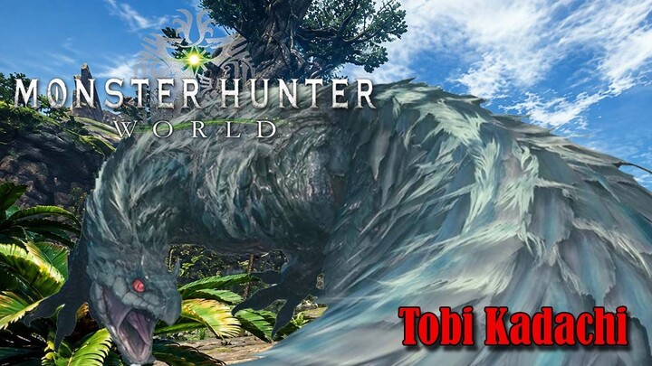 Monster Hunter : World | Hunting Time - Tobi Kadachi