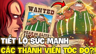 TIẾT LỘ SỨC MẠNH CỰC KHỦNG CÁC THÀNH VIÊN BĂNG TÓC ĐỎ?! | THÔNG TIN CỦA QUYỂN 4 TỶ VỀ BĂNG TÓC ĐỎ