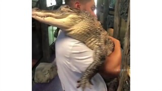"The good crocodile will eventually get his wish"ᶘ ͡°ᴥ͡°ᶅ