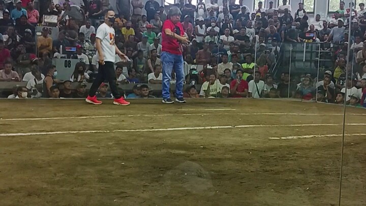 BrassBack Honey YU..B-Meg Endorser Cup