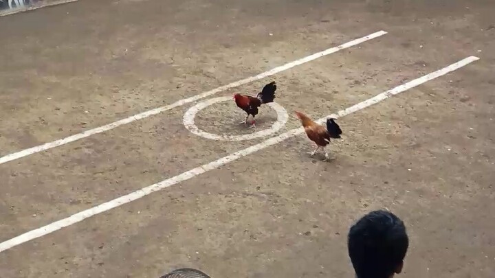 win win