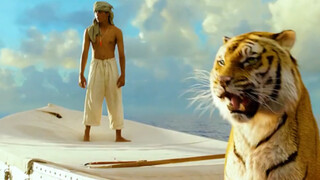 奥斯卡获奖影片，少年与老虎被困大海，竟然一起生存了200多天（三）