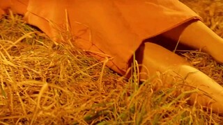 男人捡了一个媳妇，没想到媳妇竟然是长生不老的妖怪 "怪谈 "日本妖怪"