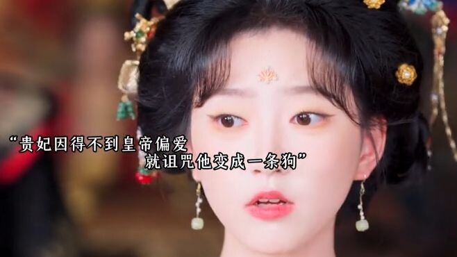 พระสนมเอกไม่ได้รับความโปรดปรานจากฮ่องเต้ จึงสาปแช่งให้พระองค์กลายเป็นสุนัข แต่ใครจะคาดคิดว่าเพียงเสี