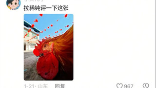 Bình luận sắc bén về tác phẩm nhiếp ảnh trong mục bình luận: ĐM đây đâu phải là con gà bình thường, 