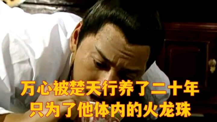 万心被楚天行养了二十年，只为了他体内的火龙珠