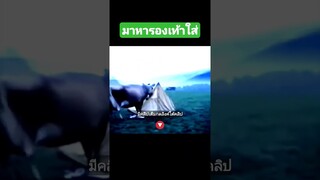มาหารองเท้าใส่