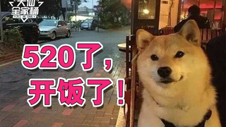 【大仙全家桶】前方单身限定，恋人慎入！