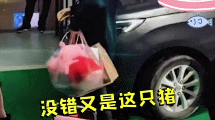 Lưu Diệu Văn quay phòng trốn thoát bí mật, tặng khách mời con Peppa Pig, hahaha! Cười muốn chết luôn