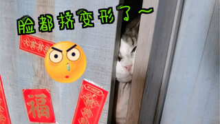 มาดู "ลูกชายตัวโต" ของฉันกันเถอะ! 55555