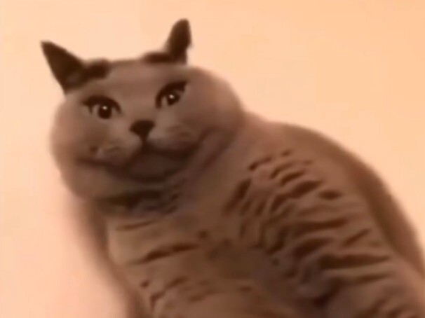 ???