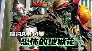 【4K修复】詹伯A剧情：马德科恩首秀，恐怖的吸血地狱花