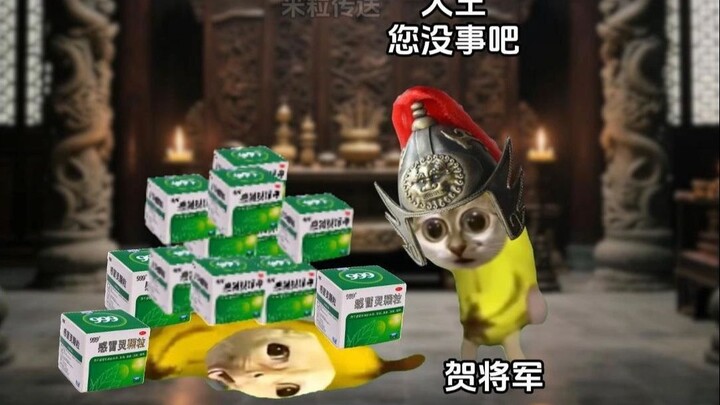 《米粒传送》第九集
