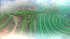 เหมือนคนละฟากฟ้า EP.13 ตอนจบ