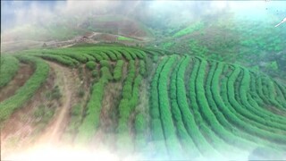 เหมือนคนละฟากฟ้า EP.13 ตอนจบ