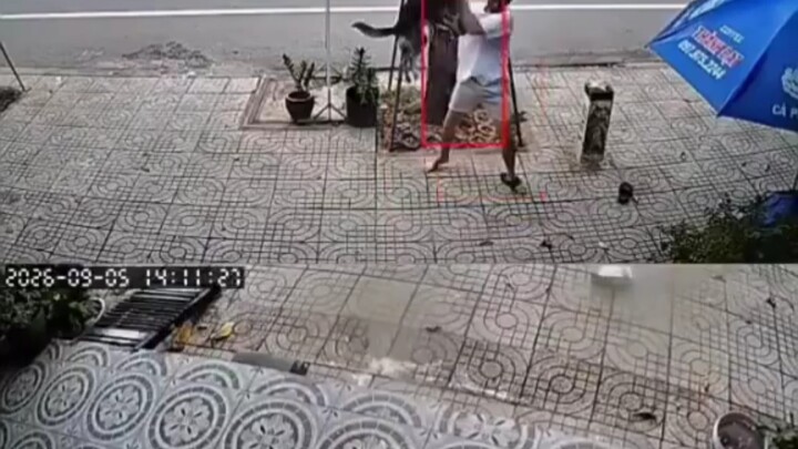 Chàng trai này bị chó ngoạm chặt không buông, hãy xem anh ấy đã xử lý thế nào