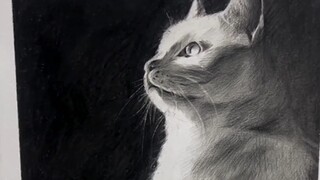 طلاب الفنون الذين يعانون لكنهم سعداء