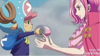 Nhóm mũ rơm cứu gia tộc Vinsmoke #onepiece