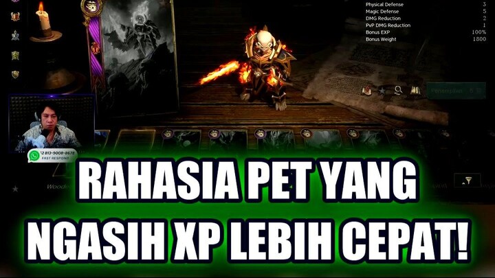 ✨ RAHASIA PET MAGIC YANG BIKIN XP MELONJAK
