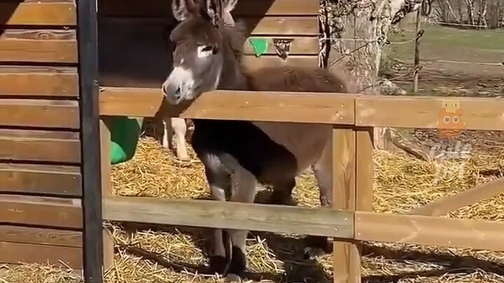 Chia sẻ với những người thú vị