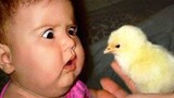 Cutest Moments Babies Meet Animals - Funny Baby and Pets Videos