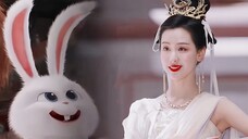 兔 兔 统 治 世 界!