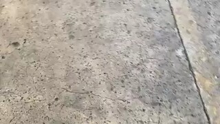 嘴巴甜點，送點東西，可以解決80%問題。