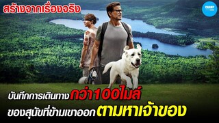 บันทึกการเดินทางกว่า100ไมล์ของสุนัขหลงที่ออกตามหาเจ้าของ #สปอยหนัง  Dog Gone