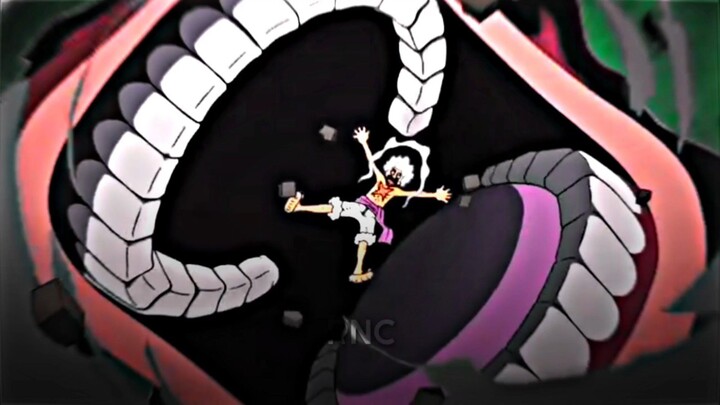 GA MUNGKIN DILUPAKAN LUFFY DIGREBEK GOROSEI ๐ฅ