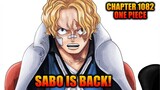Review Chapter 1082 One Piece - Sabo Selamat Dan Mengetahui Semua Masalah Yang Ada Di Marijoa!