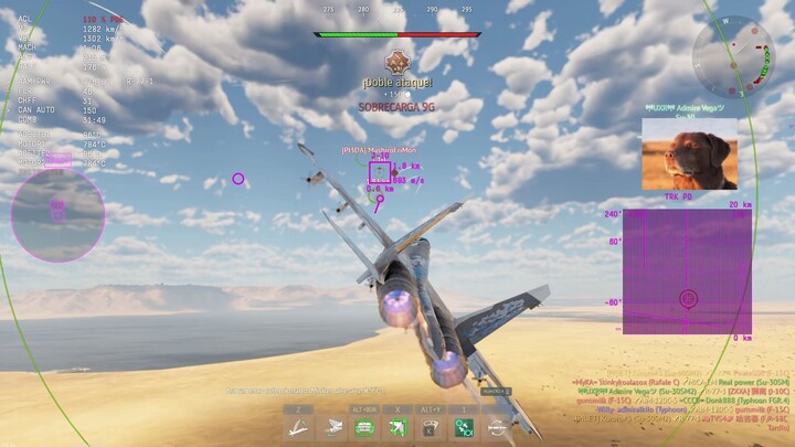 dogfight