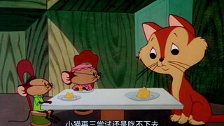 一只小猫被狠心丢弃，好在他遇到了好心的鼠妈妈才能快乐的成长