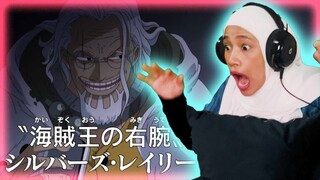 SILVERS RAYLEIGH!! 🔴 One Piece Episode 393-394 Reaction