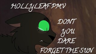 Don't You Dare Forget The Sun - Hollyleaf PMV - Warrior Cats -