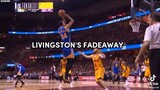 Livingston fade away is the 🐐 best mid range nba player